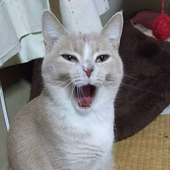 1057ee8e 26b5 4012 850e 0f76fa8538ac