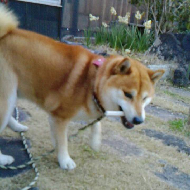 105861cf 10a6 43fe 8a98 c6a29d050101