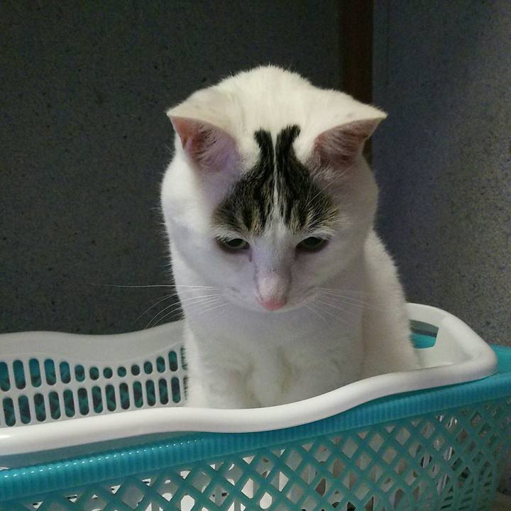 10587a38 cae3 4ab6 a4e4 69bad662188f