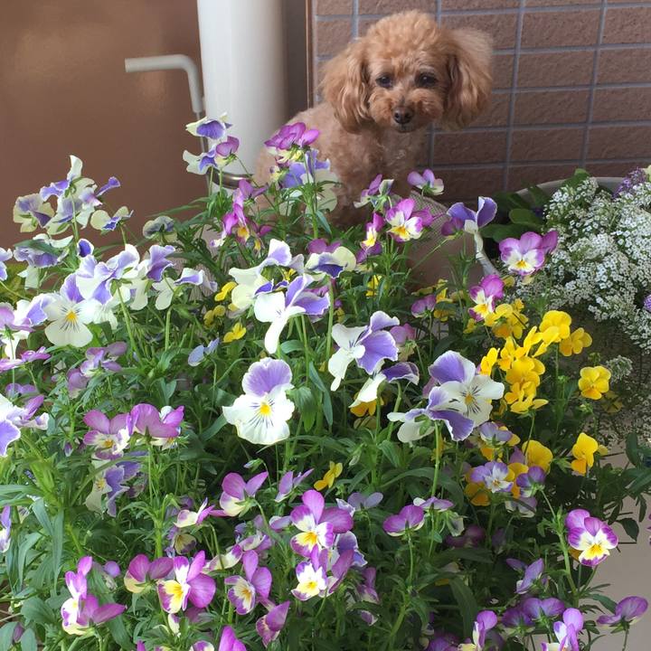 10589e6d c1a1 433b 80bb d8dff93e0a7d