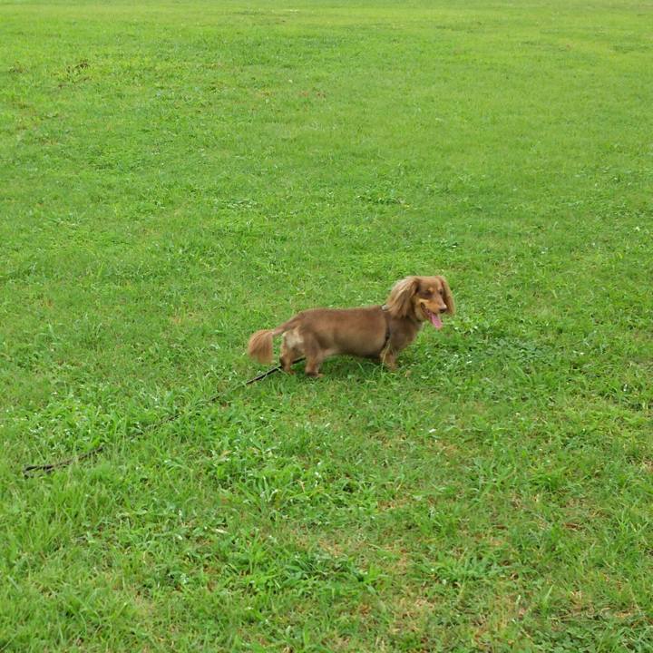 1058ab35 9ad1 40d5 8a6e 00f45c9ca059