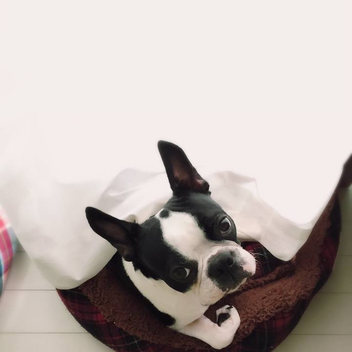 1058c2be 416c 446e b1b6 affa1eb3cd67