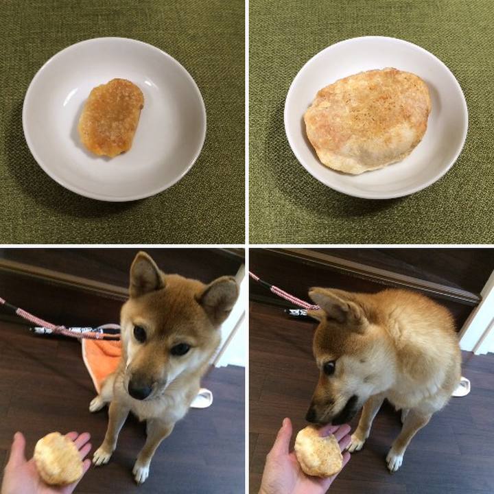 1058c87f 323c 45e1 8f19 161a119f80e2