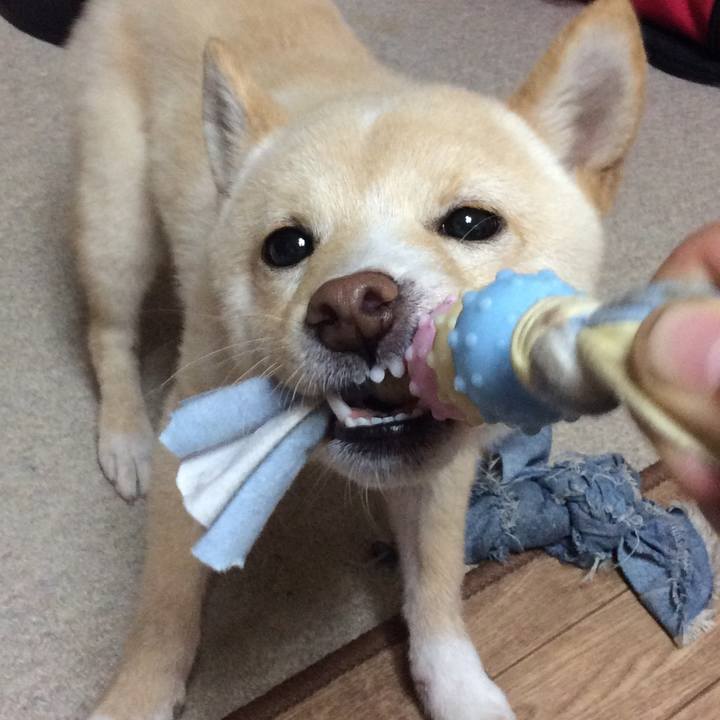 1058f5fa d5d6 4b50 bbb1 630354f53e78