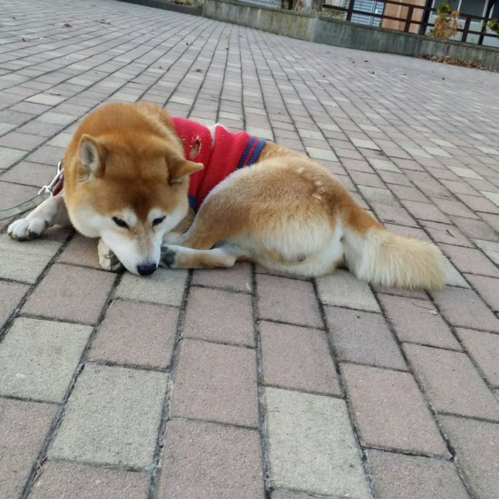 1059d17d f916 4d68 8903 507b1898328a