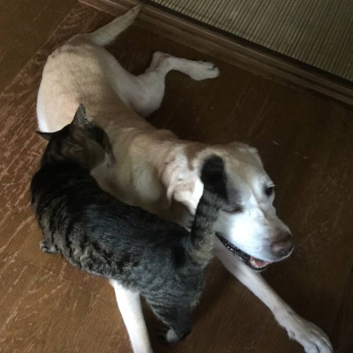 1059ff3e b1c8 4cd2 9705 5d021da0ad47