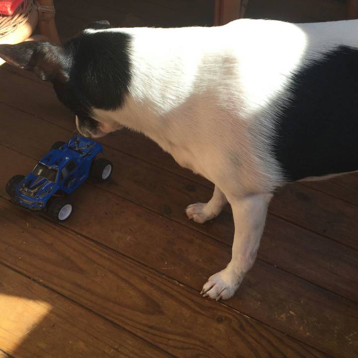 105a5a6f 9114 4e71 9801 7154b02b0f70