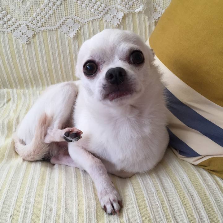 105b6d89 62ab 469e 9382 c5d075ff9af8