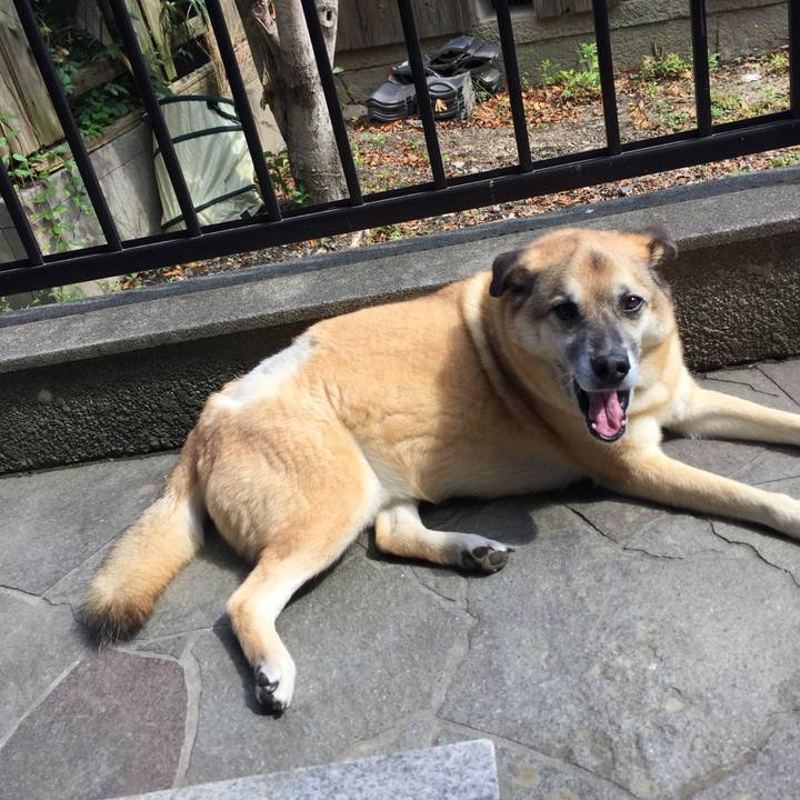 105b77c6 9a12 467b 98e3 0e3d6ec9e327