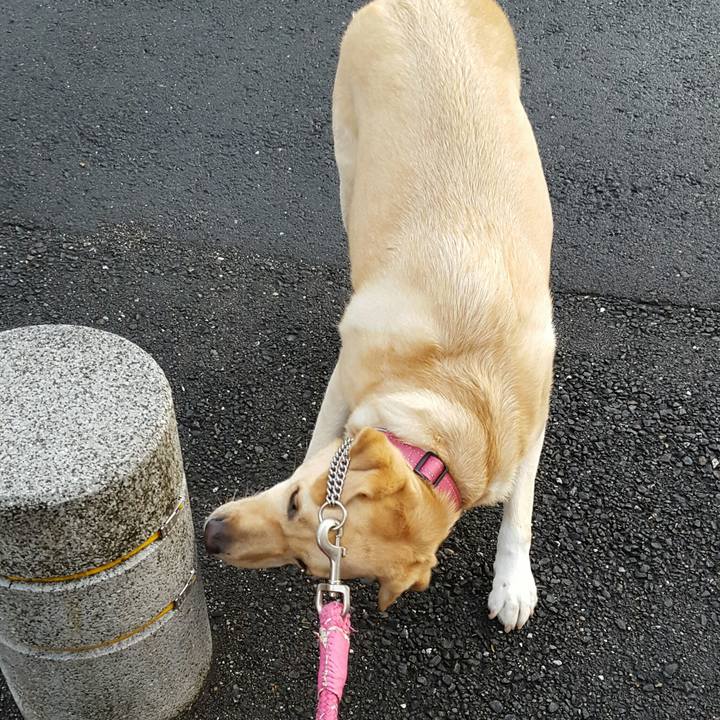 105b969c aa12 4973 9917 fbc0c15ac71e