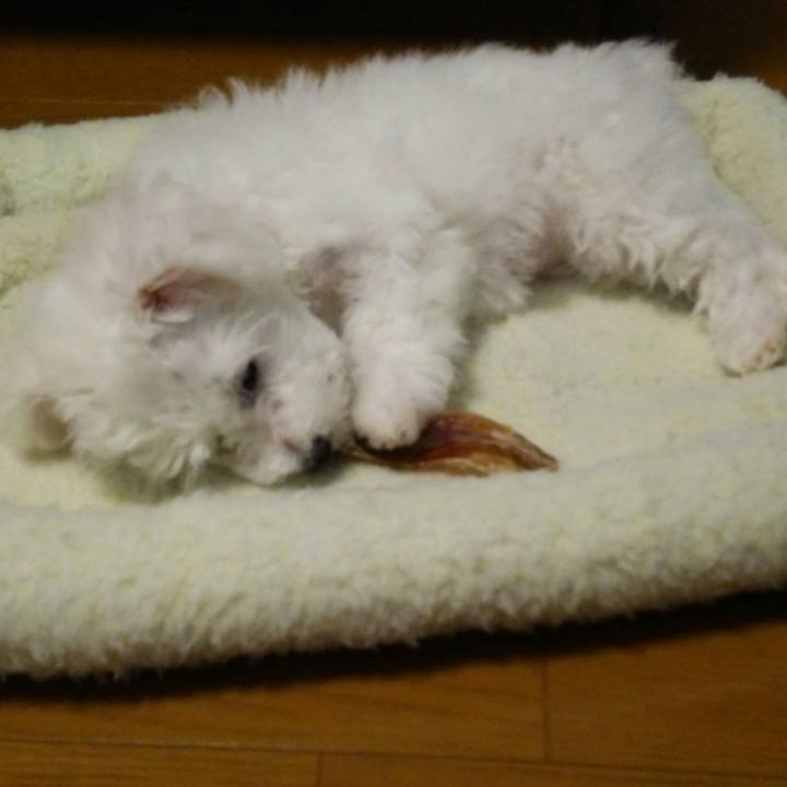 105c63ba c07f 422e b780 f9d3369f962f