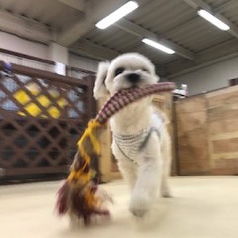 105c651c f673 497f aabc 768c7700b142