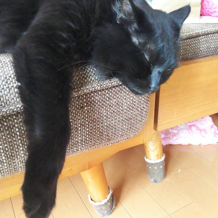 105c98e8 d44d 499e ab40 f82bf8e931fe