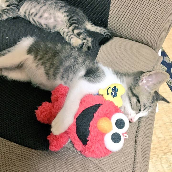 105db0de 2cd6 4be1 a7f9 ddd956847f4b