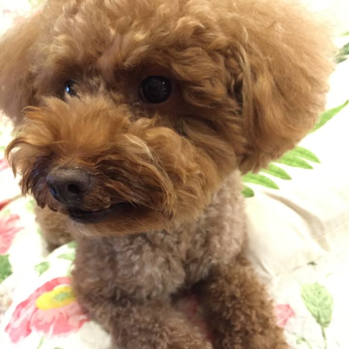 105db8dc d687 426d a1e3 730815d9a060