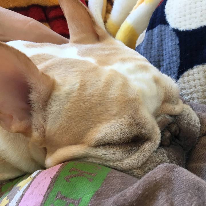 105dc233 156a 4b29 af32 60789a1594ad