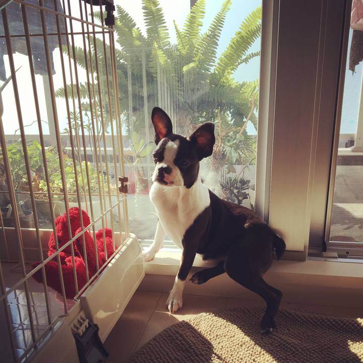 105e69b0 b65d 4c63 91f3 fff56d79e5b1