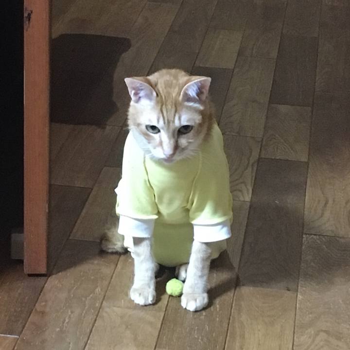 105ed0ff 285c 4dee 891f 124f49e06da1