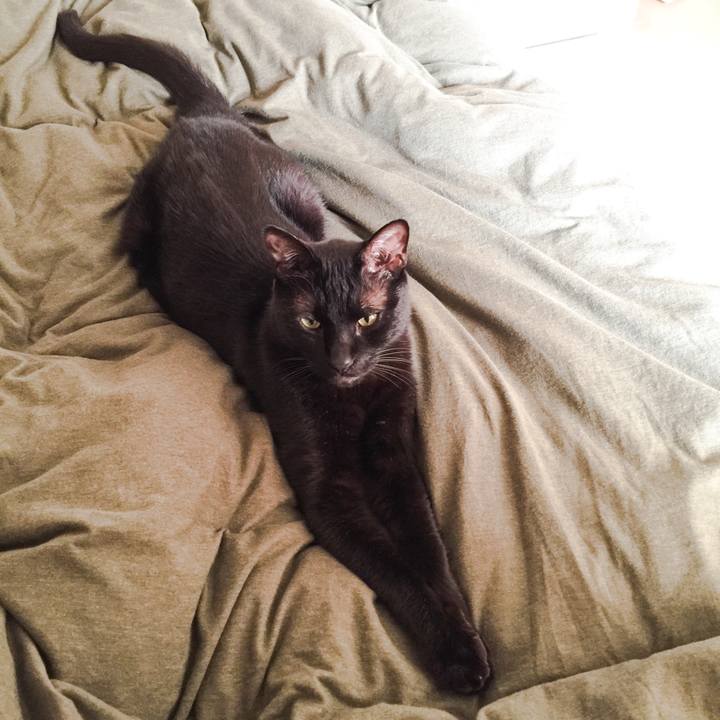 105ef1f3 4fcc 4c71 8dfe cf39bcf956d7