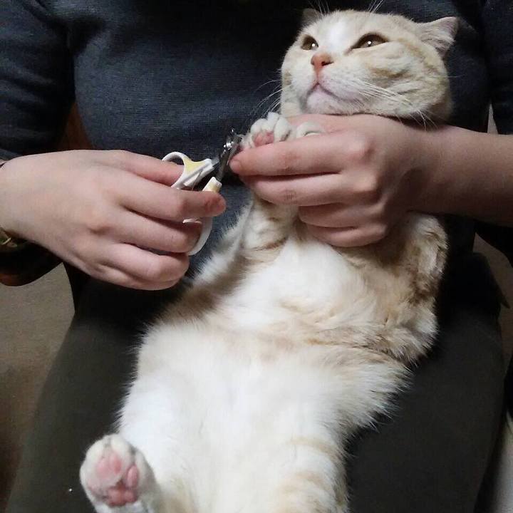 105f3ee2 50cc 4c01 ba76 4504fd5ac65f