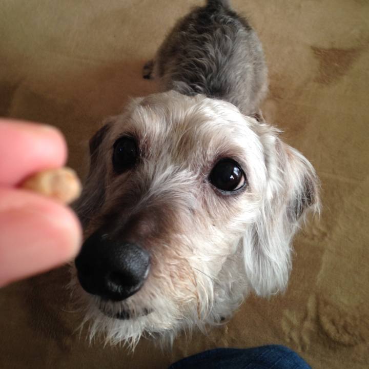 1061a15c dff0 4f1e 8882 87e7581d4c2b