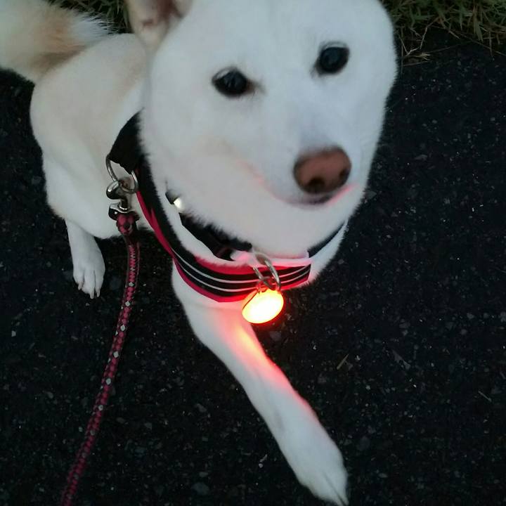 1061ac95 0786 4962 86c2 bbe8eafb9bff