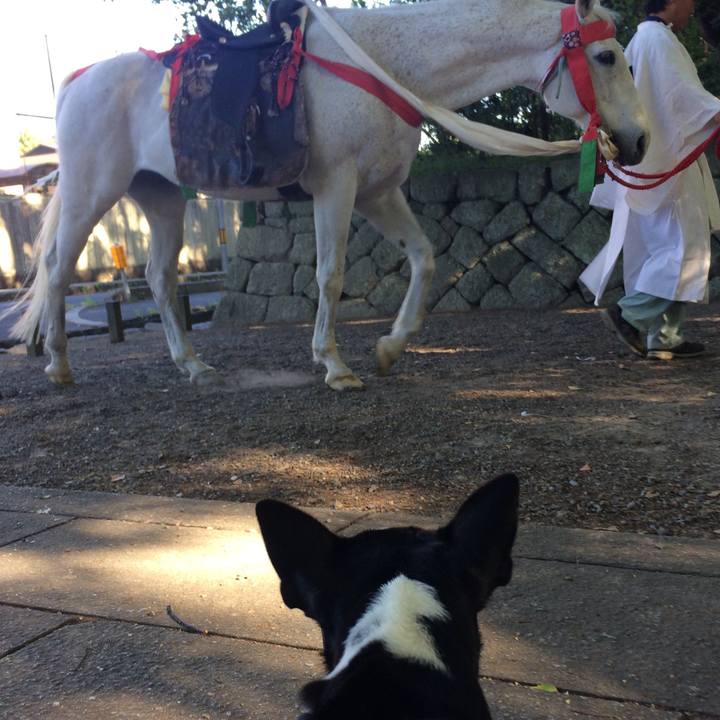 1061d444 b192 432f a5a6 226bcf868d4e