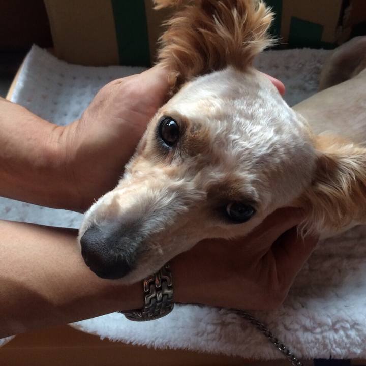 10621288 539c 493c b6a9 6e3b51696a38