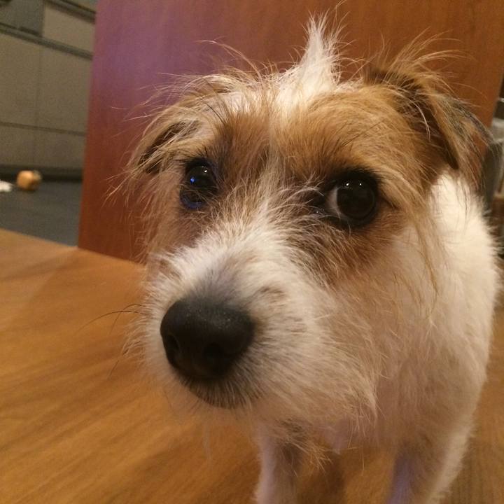 10622600 896c 449c 9744 0739da5d75f2