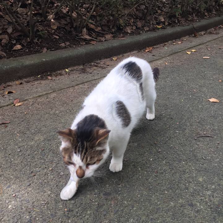 106227c1 830f 4f2a b2b1 8f401a3a4ff9