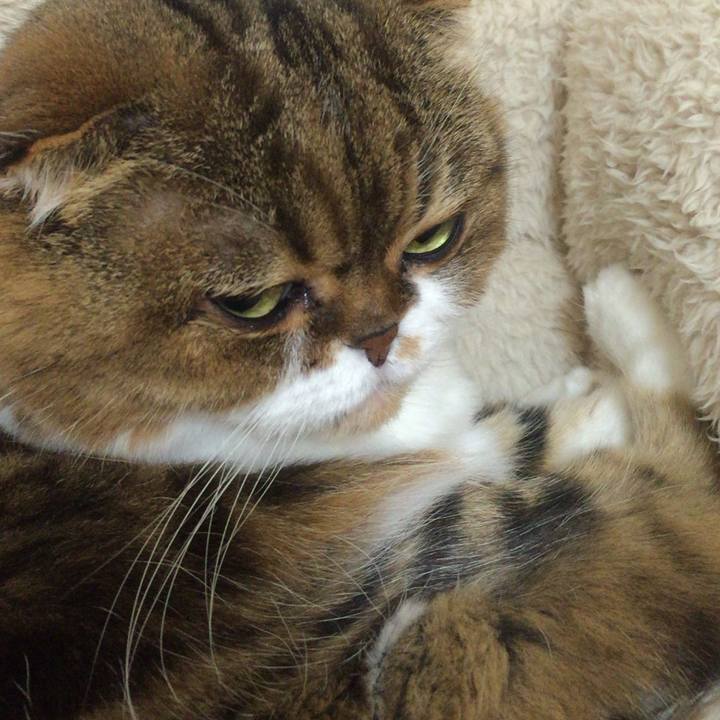 1062365e 3537 4695 90f5 cc8d84f3466d