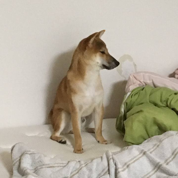 1062fe0f 7ae4 4de6 9101 72b2aaae7675