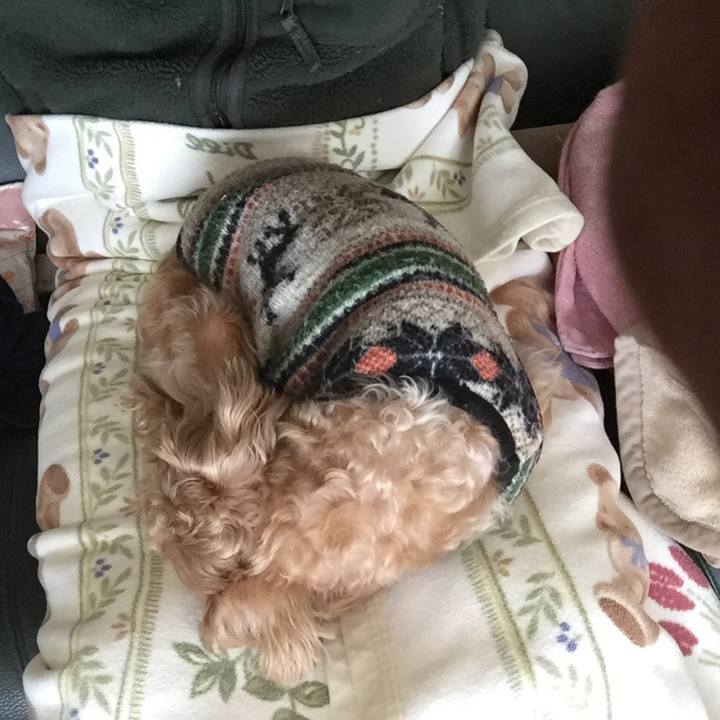 106311ab 46fa 4252 b84b c41ca6839a29