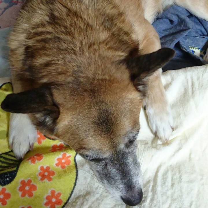 1063c93b 9cf5 4dd2 96e6 9c2e99e8bfe7