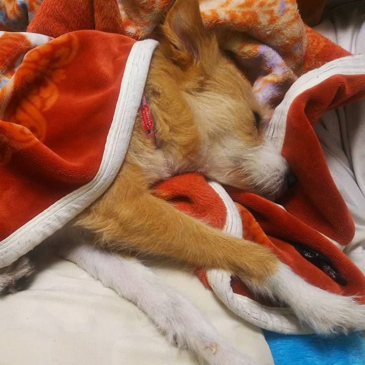 106477fc d21e 4aea 8d27 29a0739452a2