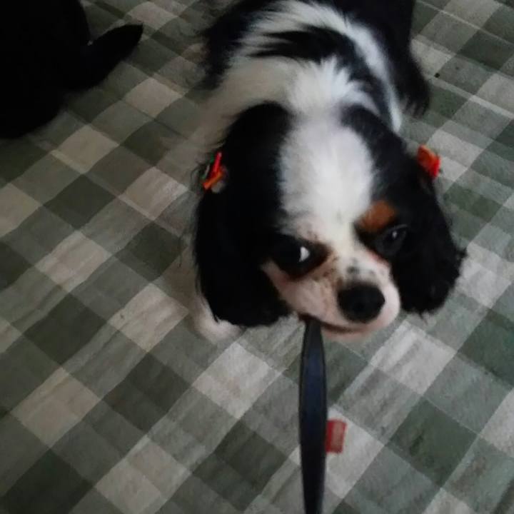 1064c819 4621 41ef 98ea cd6a22572b20