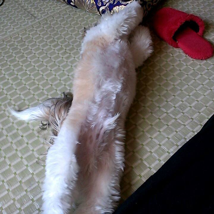 10650855 c0c3 408d 9fa9 2d1910cd568d