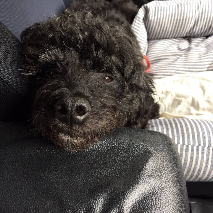 10658fb3 63a5 4041 9cb0 7fa07e3d9c95