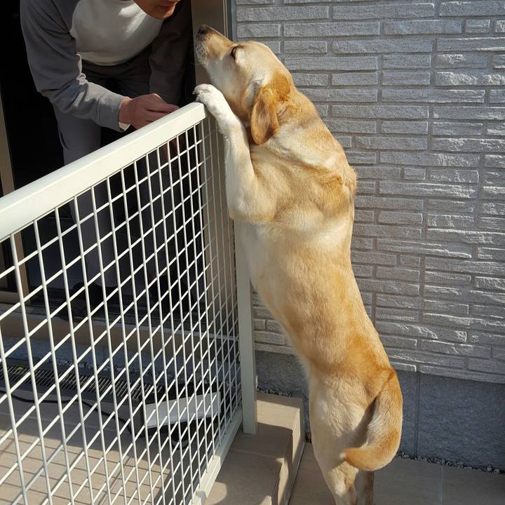 106674e3 f8ea 4abb 98a2 57c14fd34a90