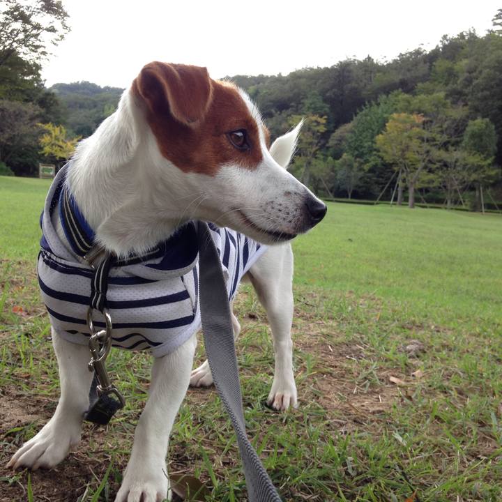 1066a9c1 8201 4aa8 b8fd 4670ba0567a0