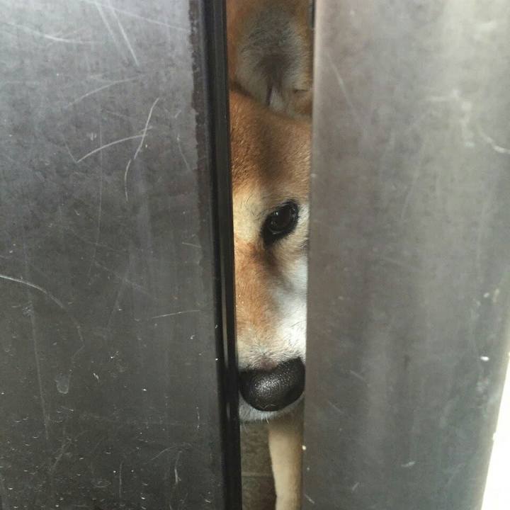 1066c0f6 bac3 4534 b5c0 28ceb7b39101