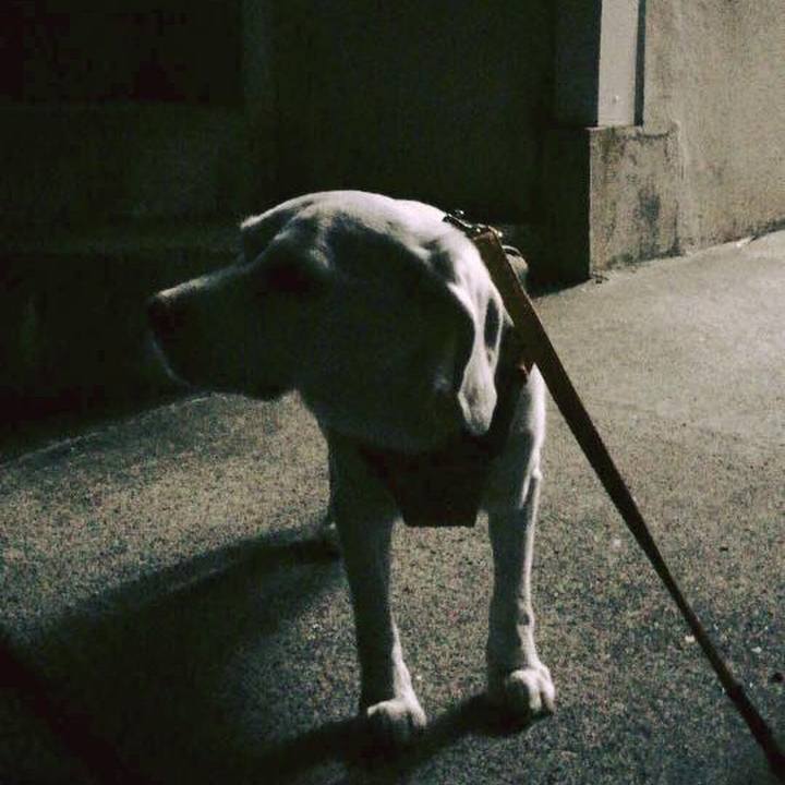 10675a4a d9a0 47fd bb7f 312480004d63