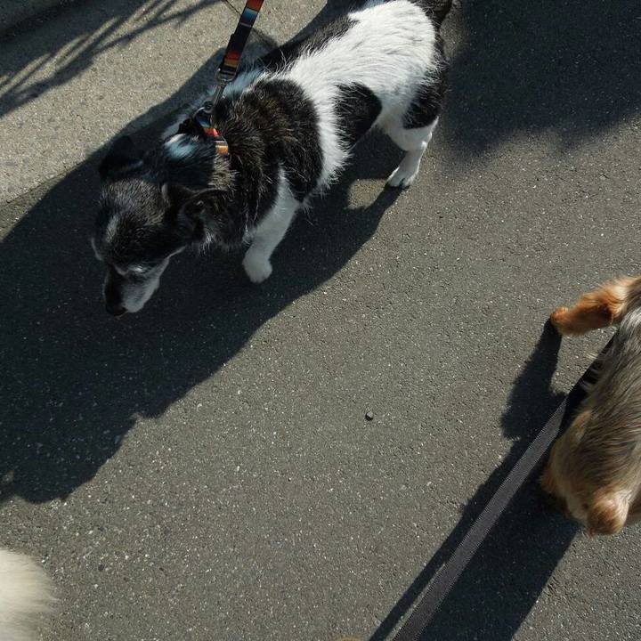 1067d131 4a56 4704 84da 28e610d4d2ed