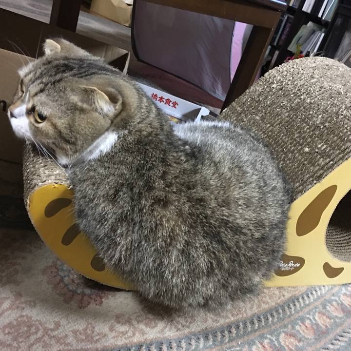 10689061 fa45 46a1 98a8 cfc5d7109e33