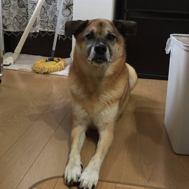 10691f07 e6d0 4dff b066 4cf26cc79aa3