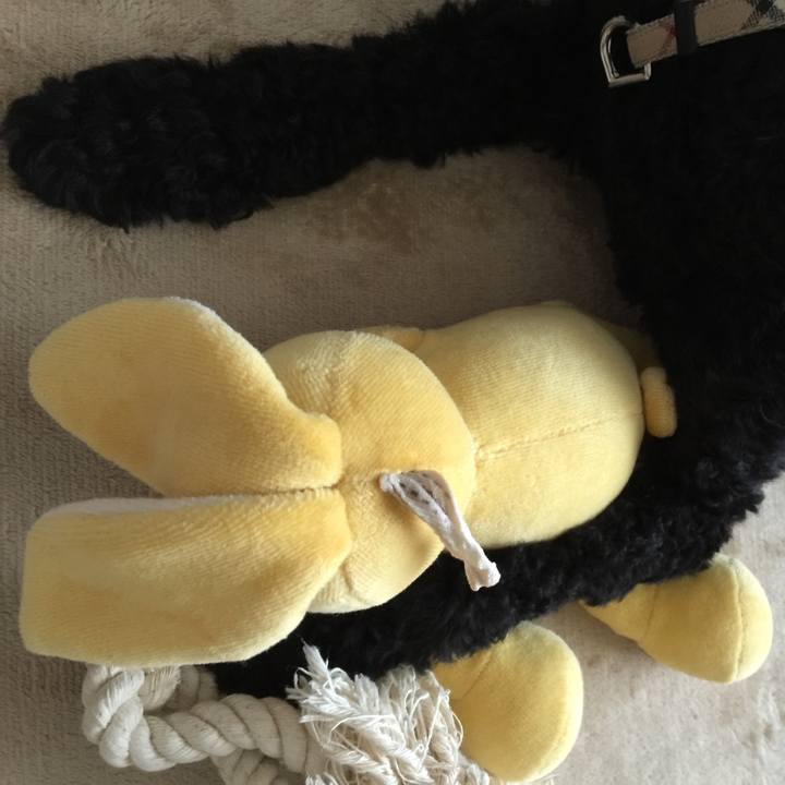 1069e6fa 2516 4baf 8b19 1d617db9b8fc