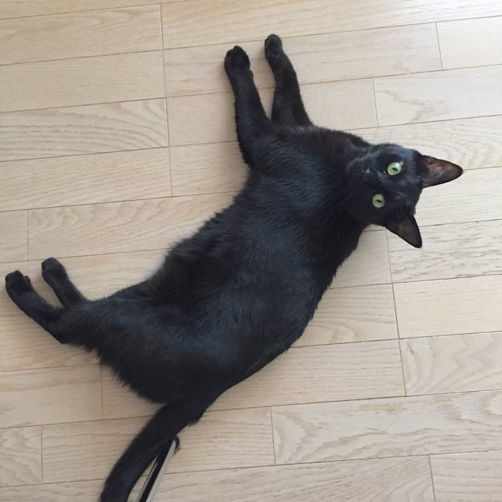 106a03a3 b4f0 424f 82b3 6d9a1c593db3