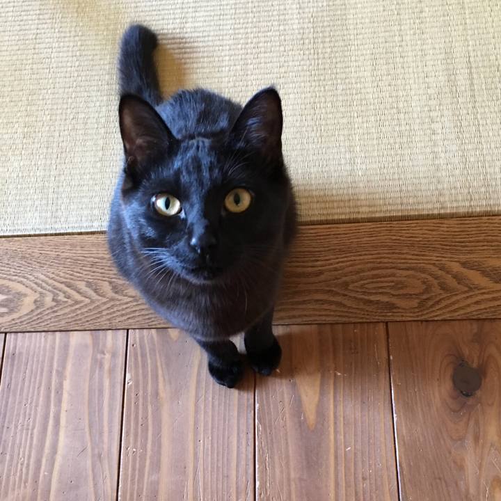 106a76f8 5350 4067 8bf2 d57a070d4e99