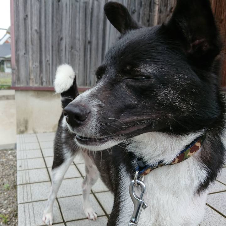 106ae875 5bf7 4f4f 8774 fafb866f6077