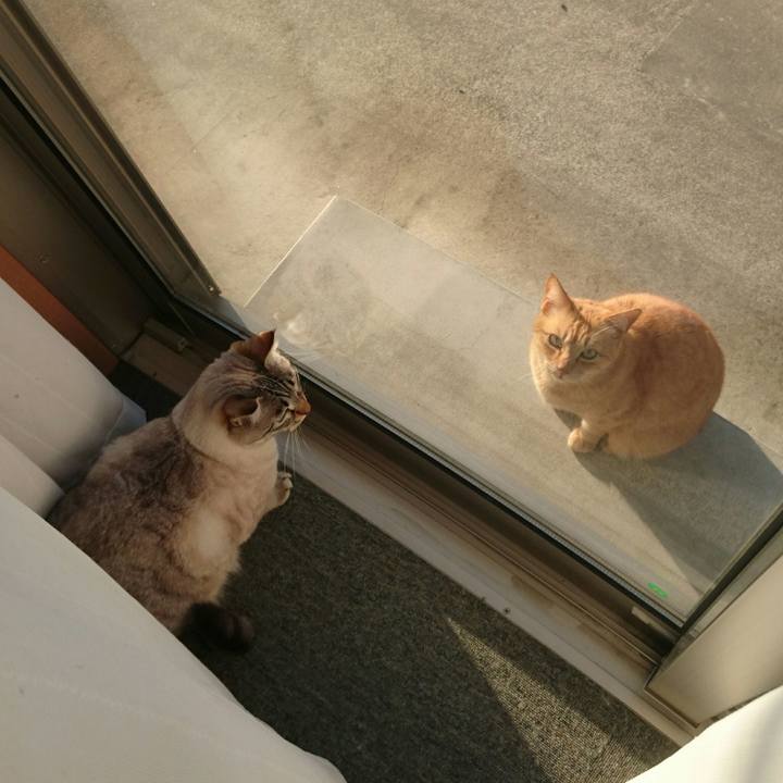 106af6b5 b0c0 4424 83ea 3235a3c42ec6